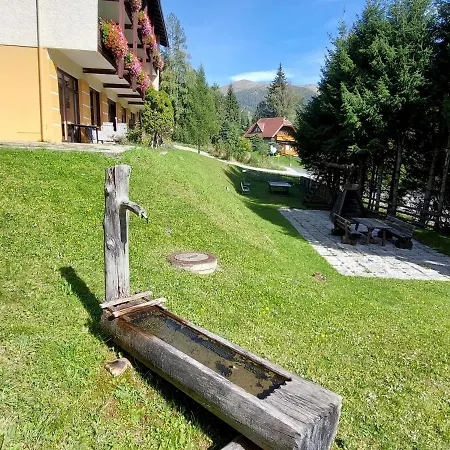 Apartmán - Near The Slopes Staudach