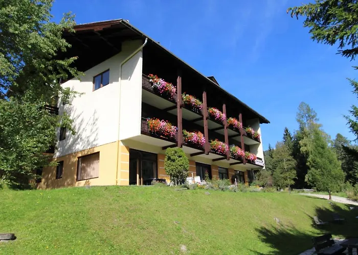 - Near The Slopes Staudach